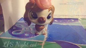 /как сделать детский сад для лпс?/#1