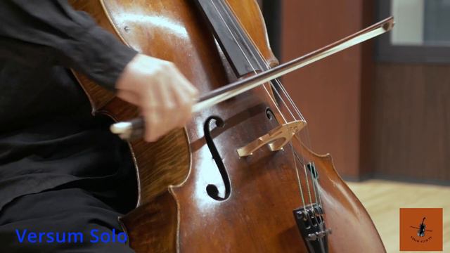 Thomastik cello strings comparison / トマスティックのチェロ弦比較　　17.03.2023 смотреть онлайн