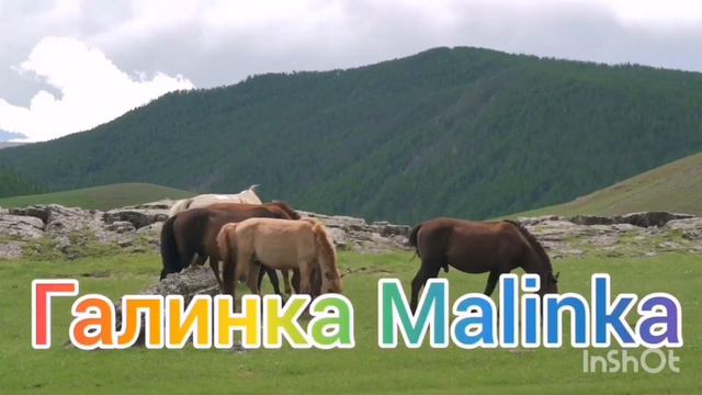 Ольга Быкова /Ищет мужа, хочет родить/Обзор Влогов /Мать-героиня /Леля Побируха /