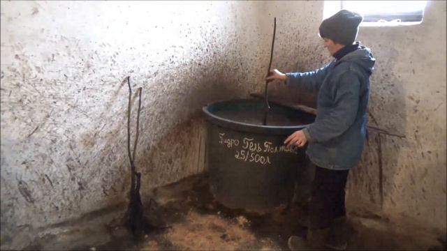 Подготовка саженцев к реализации. Декабрь 2016 смотреть онлайн