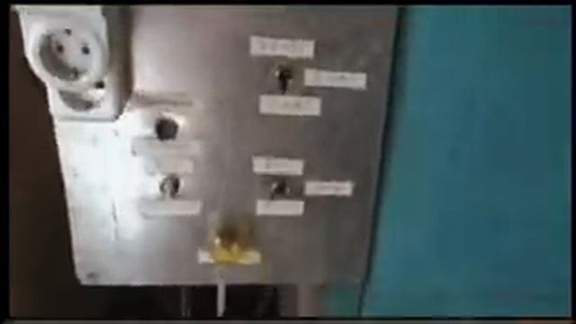 Инкубация гусиного яйца смотреть онлайн