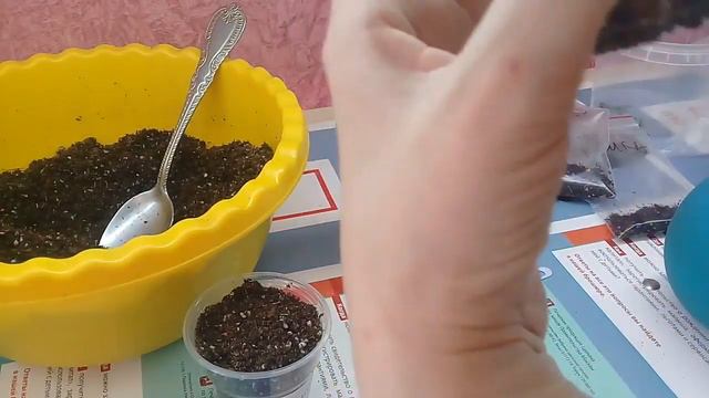 Посадка листа фиалки смотреть онлайн