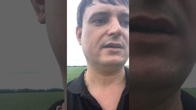 Демин В.А. Фугустим.