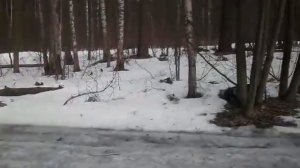 дорога смерти в лыткарино