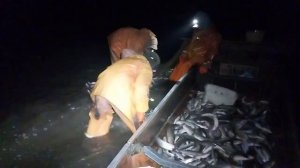 Ночной рыбный промысел у Восточно-Сибирского моря 🌊🐟