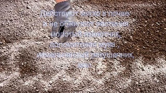 Кислая почва. Что делать ?