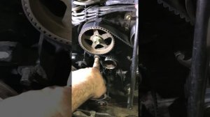 Toyota 3.0 3vze timing belt install tip 4Runner T100