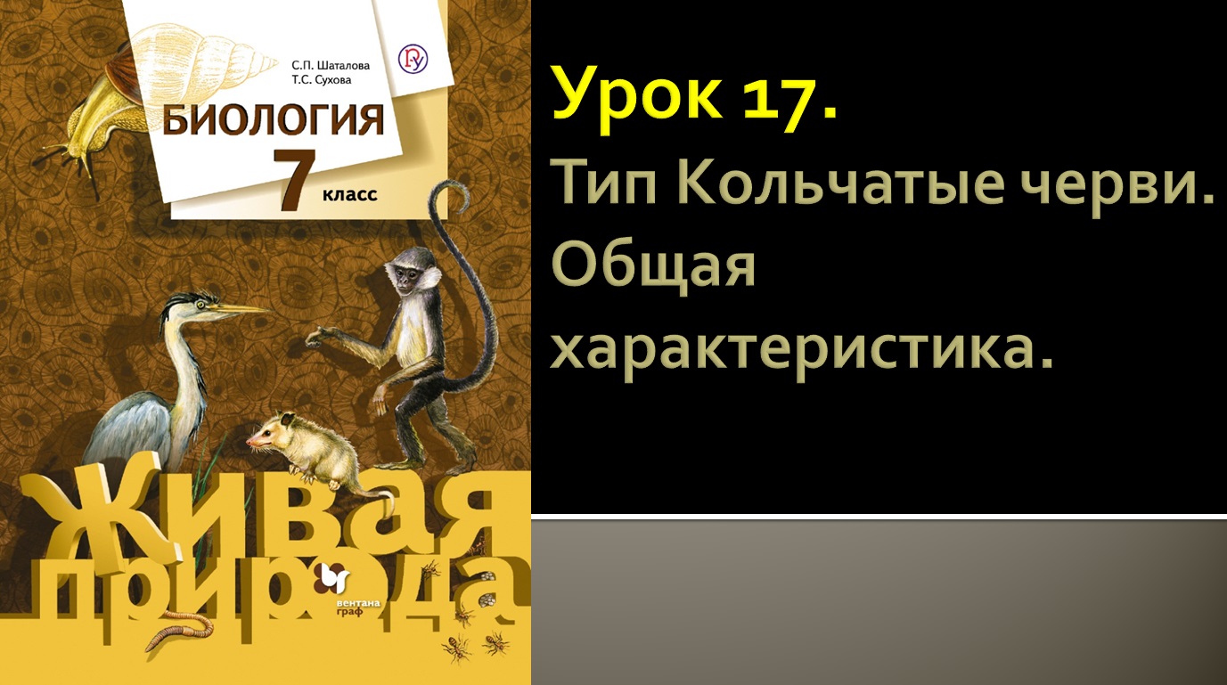 Урок 17. Тип Кольчатые черви. Общая характеристика