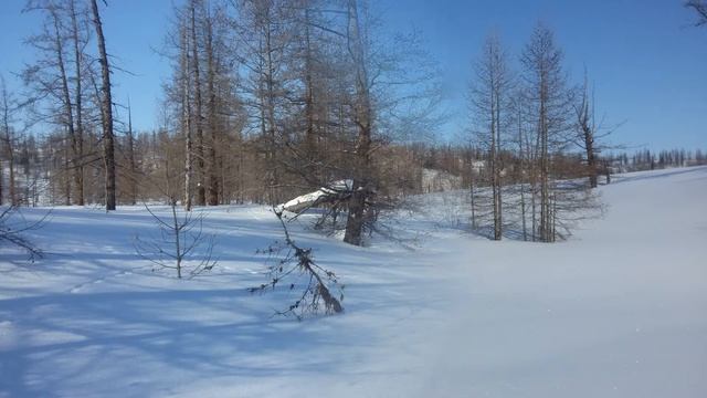 Дороги Таймыра 2019 смотреть онлайн