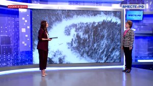 Российский леспром: новые рынки сбыта. Татьяна Гигель. Сказано в Сенате