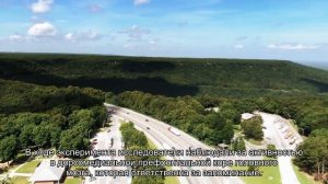 Ученые объяснили, почему мы лучше запоминаем информацию, когда делаем перерывы в обучении