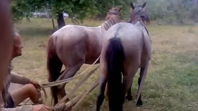 сельский форсаж смотреть онлайн