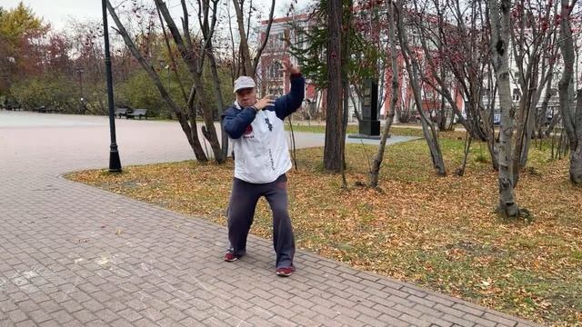 Ицюань / Yiquan (301 день). Ченбао Чжуан / Фуху Чжуан / Фуань Шили Цзо-Ю / Гуньфа
