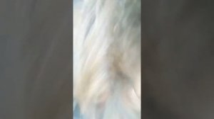 Edge 122 spl e6 в деле