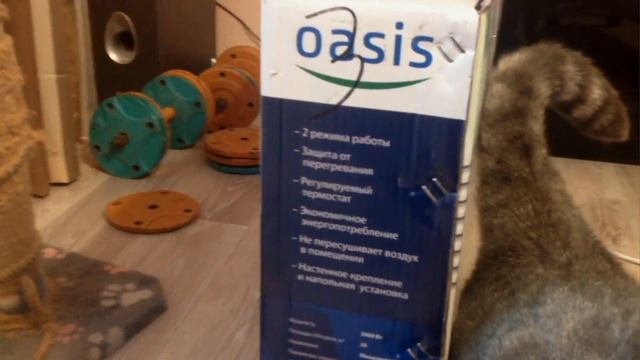 Обогреватель конвектор, опыт в выборе