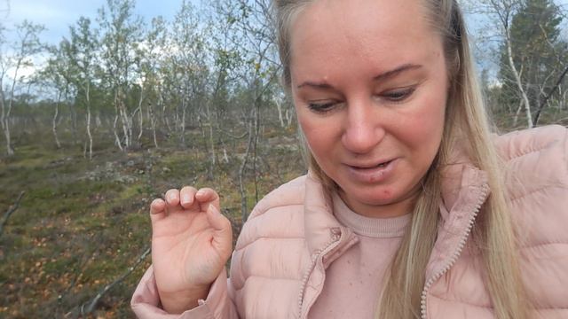 Даже в лесу можно нарваться на такие препятствия