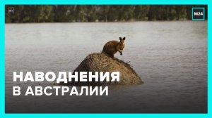 Сильные дожди привели к наводнениям в Австралии - Москва 24