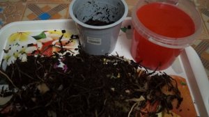 Реанимация камбрии, обработка от червеца в профилактических целях...