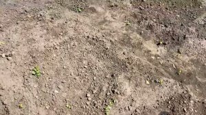 КУПИЛА ЗАБРОШЕННУЮ ДАЧУ[#30]/ДАЧНЫЕ БУДНИ/ИЗ ГОРОДА НА ДАЧУ/ЗОНА ОТДЫХА НА ДАЧЕ/ПЛОЩАДКА ПОД ГАЗОН/