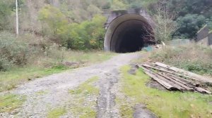 Змеи и скорпионы?Туннель в Гагре, Абхазия 2023