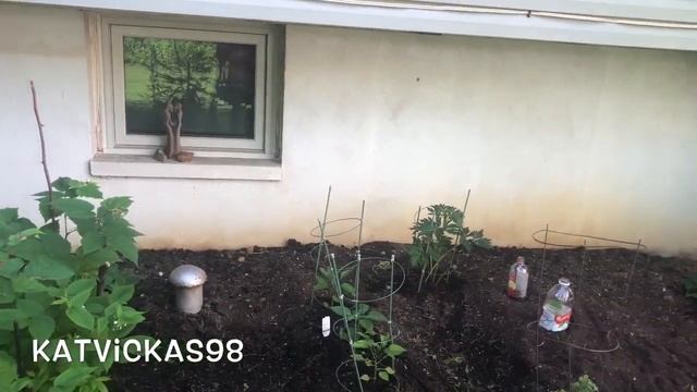 #РУССКИЕВСША ПРОБЛЕМЫ / ПЛАНЫ НА БУДУЩЕЕ/ВСТРЕЧА ПОСЛЕ РАЗЛУКИ//НЕ ПОВЕЗЛО С СОСЕДЯМИ
