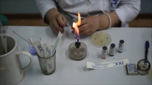 Определение чувствительности к антимикробным препаратам - Диско-диффузный тест