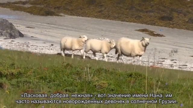 Значение имени Нана. Толкование, судьба, характер смотреть онлайн