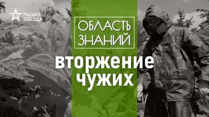 Чем может быть опасен двойник ромашки? Лекция биолога Натальи Решетниковой.