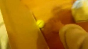 Часть пятая как ухаживать за собакой игрушки и уход