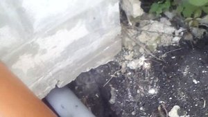 простой тулет на дачу с высоким унитазом