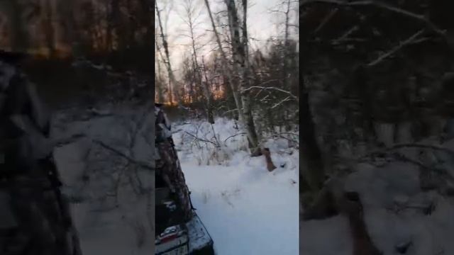 На буране по болоту зимой. смотреть онлайн