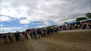 Тула - Дикая мята