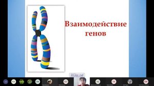 Биология  Урок 9 Генетика Часть I