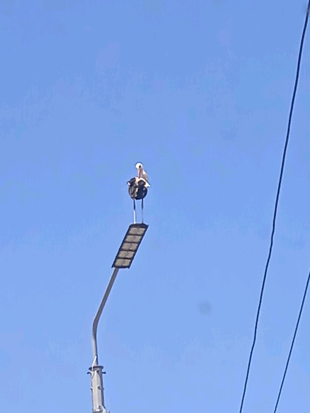 барня