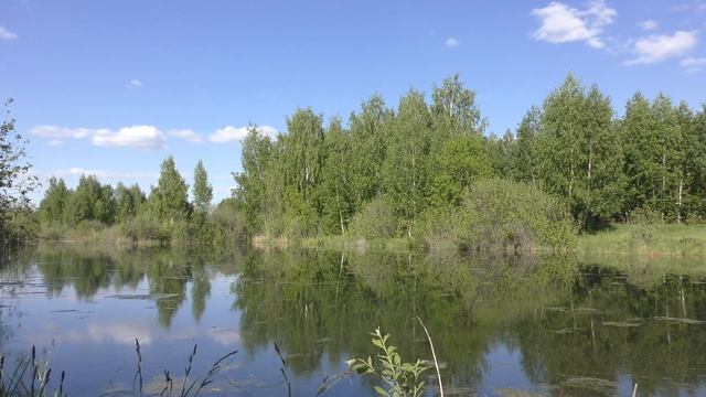 Озеро в лесу, звуки природы, пение птиц, шум ветра, Relax смотреть онлайн