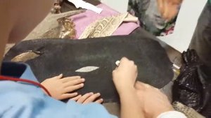 Кожа, изделия из кожи на фабрике в Паттайе / Leather, leather products at the factory in Pattaya