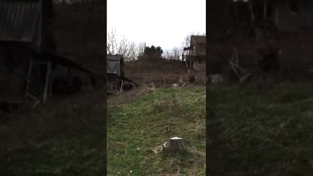 Обзор дома в Жмеринке за 30 000$ смотреть онлайн