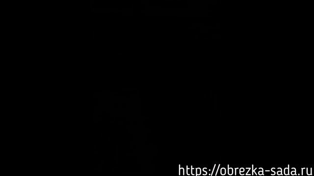 Фигурная обрезка