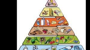 Что такое пирамида питания?