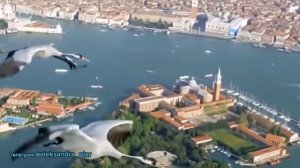 Журавли журавушки