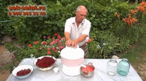 Натуральный вишневый сок с соковыжималкой "Салют"