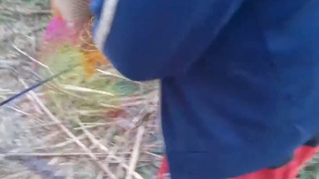 Копия видео "Ловля сазана на макуху, Астрахань, С.Полдневое."