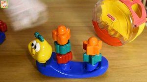 Обзор на Сортер Fisher Price музыкальная улитка