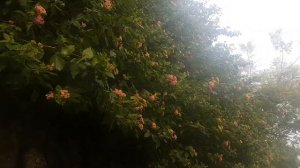 Город Маалот север Израиля - прогулка
