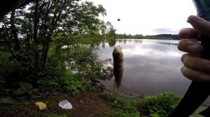 рыбалка на пруду в Андреевке