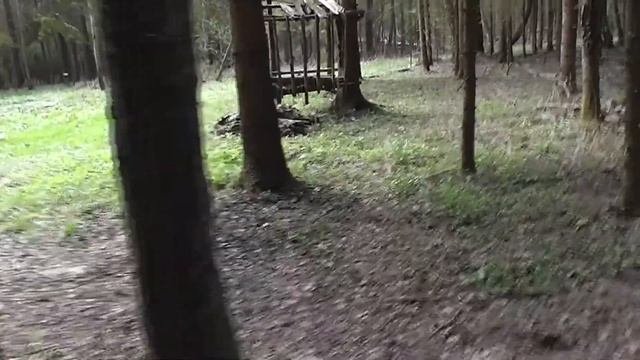 ОБЗОР ПОДКОРМОЧНОЙ ПЛОЩАДКИ