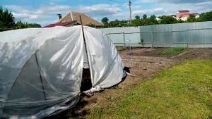 Посадка рассады Капусты "МОСКОВСКАЯ ПОЗДНЯЯ ".в Открытый Грунт. 3 июня 2021г.