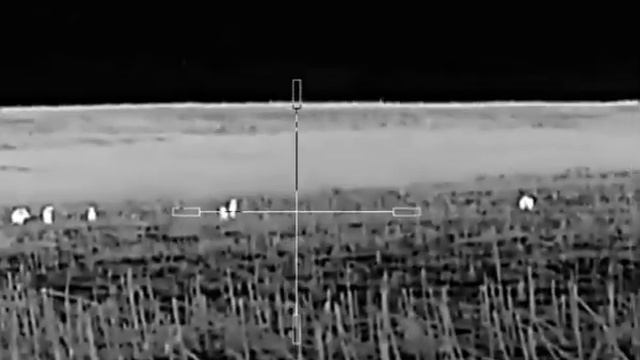 Добыча кабана прицел Snadesy 150-180 метров! смотреть онлайн