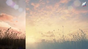 Сбор дикорастущих растений