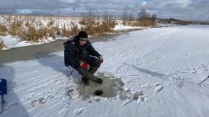 Ловля окуня зимой. Река Прохладная.